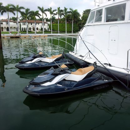 Fendequip Jet Ski (PWC) Mooring Whips Set - Image 2